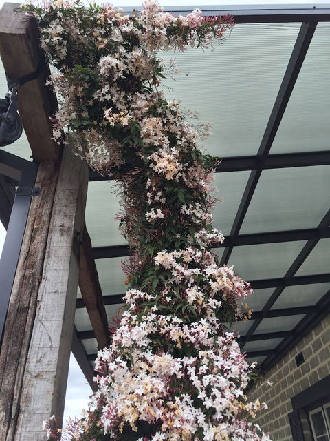 Bakehouse '38 Restaurant & Guesthouse - Accommodation Bookings 5