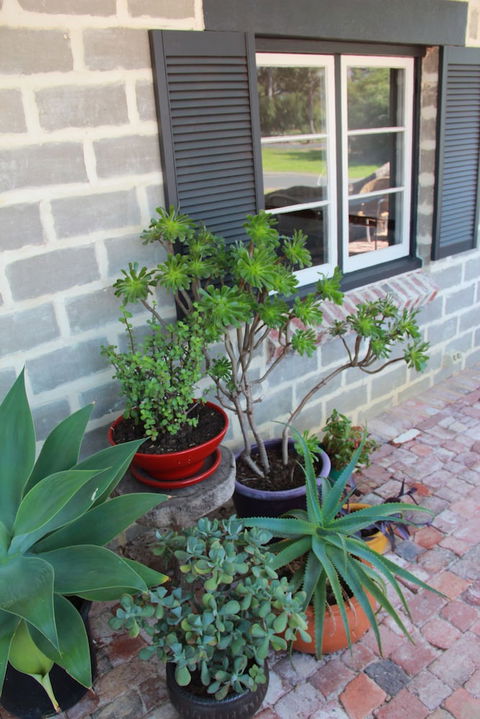 Bakehouse '38 Restaurant & Guesthouse - Accommodation Bookings 2