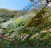 Copeland Manse - Accommodation Bookings