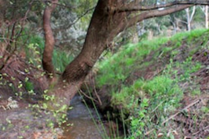 Mylor SA Accommodation Bookings