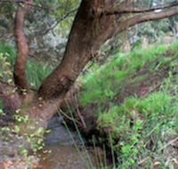 Longwood Retreat - Accommodation Bookings