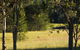 Windsors Edge Cottage Rothbury - thumb 2