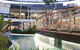 Sentosa At Tugun Beachfront Holiday Home - thumb 6