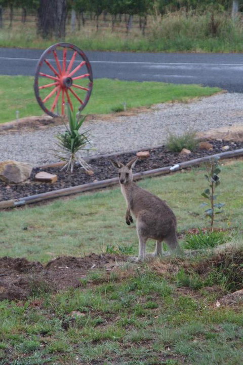 Namar Yurt - Accommodation Bookings 1