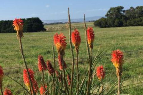 Yanakie Holiday House - Accommodation Bookings 7
