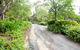 Avoca Park - thumb 4