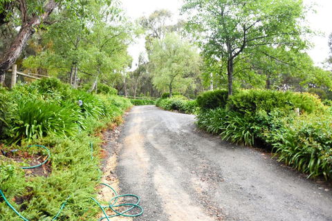 Avoca Park - Accommodation Bookings 4