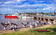 Fishermans Friend At Greenwell Point - thumb 7