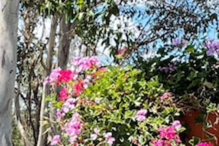 Crows Nest QLD Accommodation Bookings