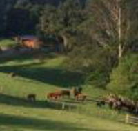 Amaroo Valley Springs - Accommodation Bookings