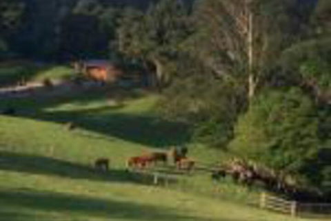 Amaroo Valley Springs - Accommodation Bookings 0