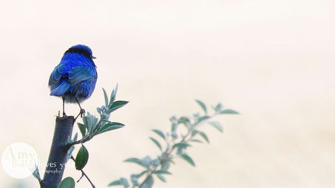 Tegwan's Nest - Accommodation Bookings 1