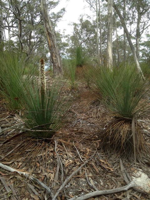Echidna On Bruny - Accommodation Bookings 1