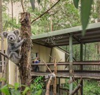 Springwood Meditation Vacation Center - Accommodation Bookings