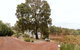 Nannup Hideaway - thumb 1