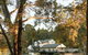 Nannup Hideaway - thumb 0