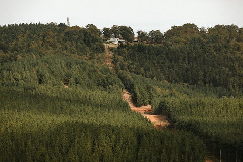 Nannup Hideaway - Accommodation Bookings 4