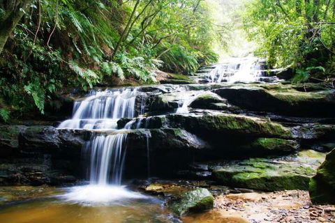 The Gatsby - Accommodation Bookings 7