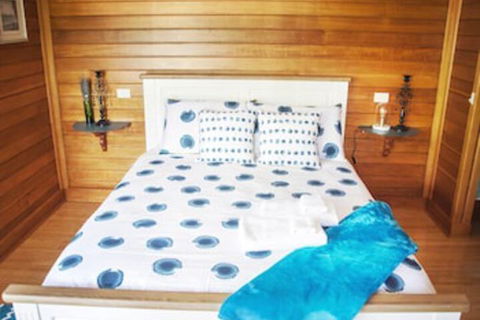 Artee House - A Bright Escape - Accommodation Bookings 5
