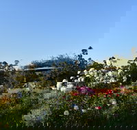 Labertouche Gypsy Creek Winery - Accommodation Bookings