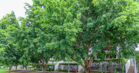Theodore Apartments - Accommodation Bookings 0