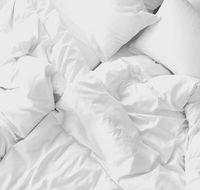 Bohemian Chic 2 Bed Bondi Beach Apartment - Accommodation Bookings