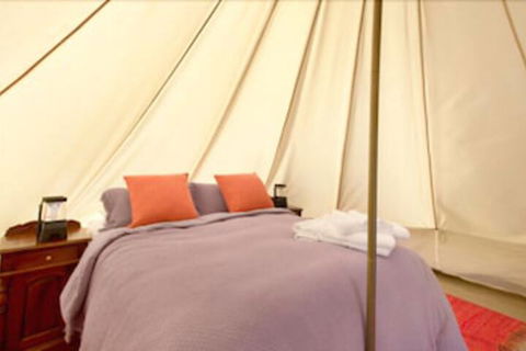 Goldfield Glamping - Accommodation Bookings 5