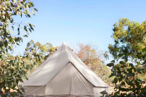 Goldfield Glamping - Accommodation Bookings 2