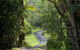Nimbin Waterfall Retreat - thumb 1
