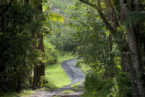 Nimbin Waterfall Retreat - Accommodation Bookings 1