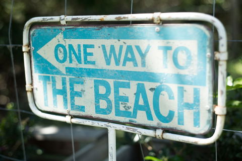 Fig Tree Retro Studio - Accommodation Bookings 0