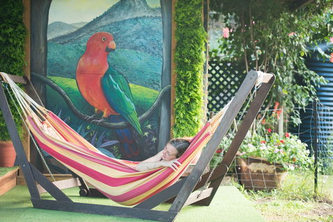 Fig Tree Retro Studio - Accommodation Bookings 1