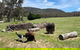 Donegal Farmstay - thumb 2