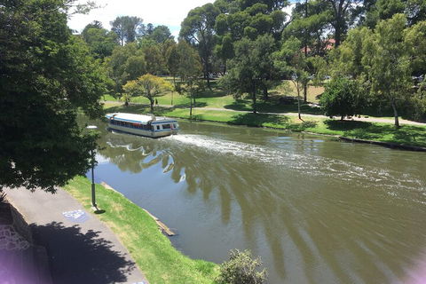 Adelaide Style Accommodation Near City - Accommodation Bookings 4