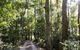 Rosewood Estate - thumb 1