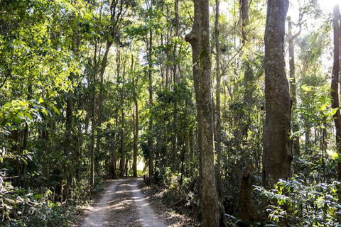 Rosewood Estate - Accommodation Bookings 1
