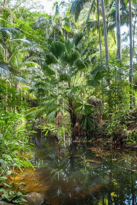 Sanctuary In The Pocket - Accommodation Bookings 1