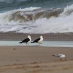 Baillieu Breeze - Accommodation Bookings 0