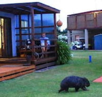 BIG4 Kelso Sands Holiday Park - Accommodation Bookings