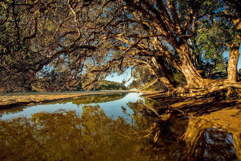 Woolgoolga Lakeside Holiday Park - Accommodation Bookings 1
