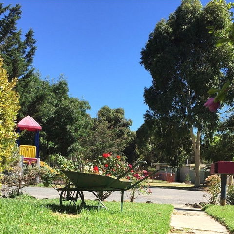 Acacia Caravan Park - Accommodation Bookings 6