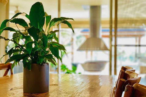 Grand Gippsland Home Sleeps Up To 28 - Accommodation Bookings 4