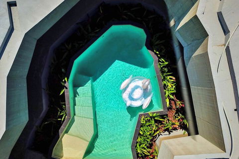 Alkira Award Winning Luxury Holiday Home - Accommodation Bookings 6