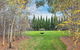 Orchards At Spring Vale Farm - thumb 0