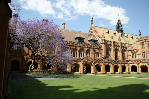A Walk To Syd Uni & RPA Hospital - Accommodation Bookings 0