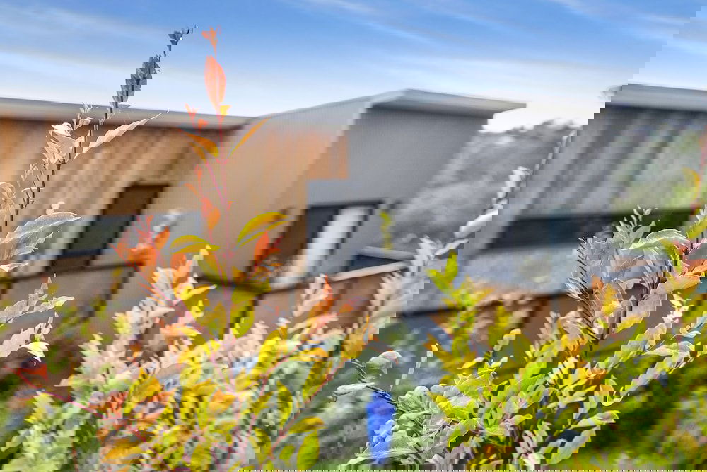 Katoomba NSW Accommodation Bookings