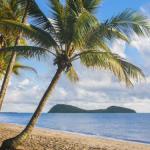 Eden Oceans Edge Palm Cove - Accommodation Bookings 0
