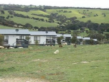 Waves And Wildlife - Accommodation Bookings 0