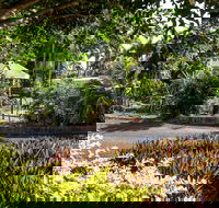 Country Comfort Bundaberg - Accommodation Bookings