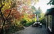 Acorn & Chestnut Hepburn Springs - thumb 6